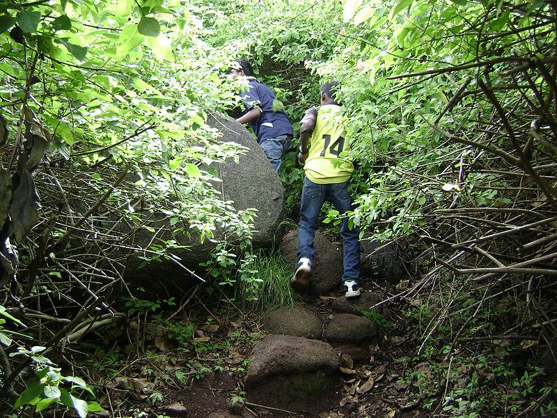 Trekking at Yelagiri