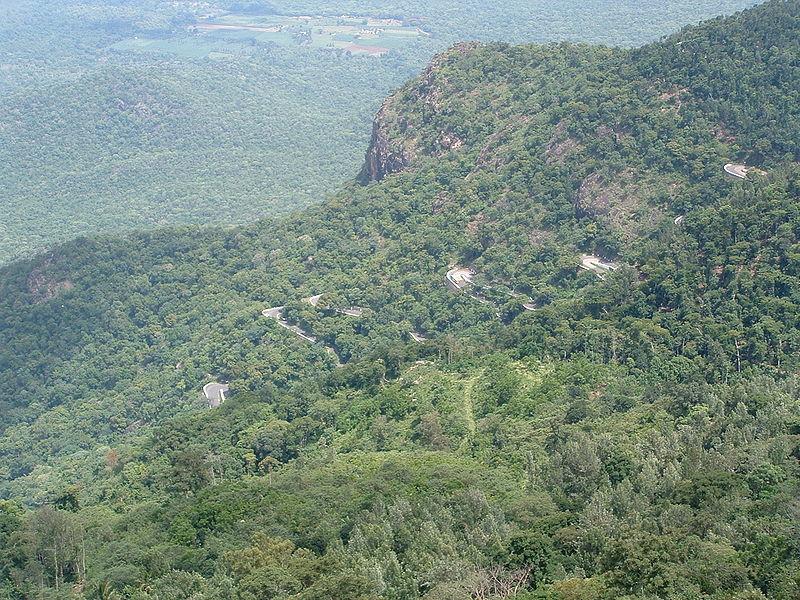 Yercaud View from Lady's Seat