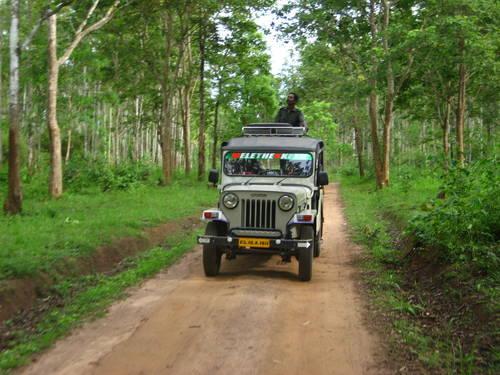 Muthanga Wildlife Sanctuary