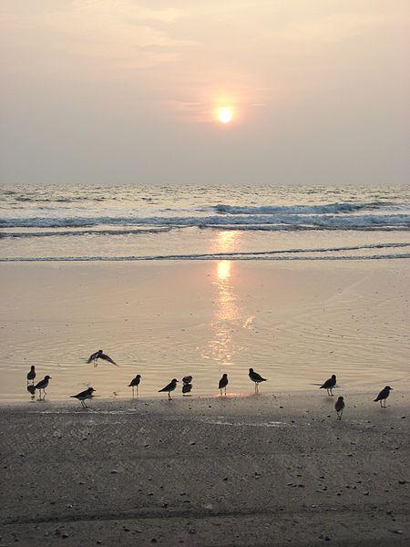 Muzhappilangad Beach