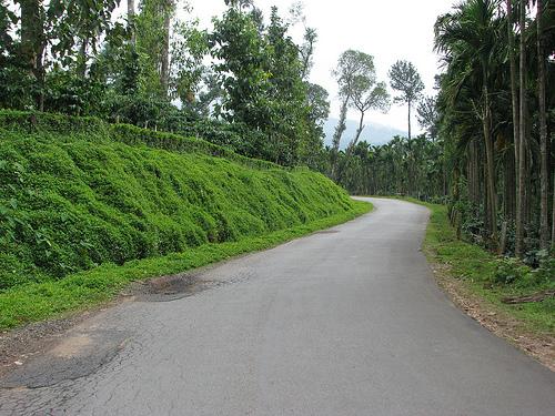 Horanadu road