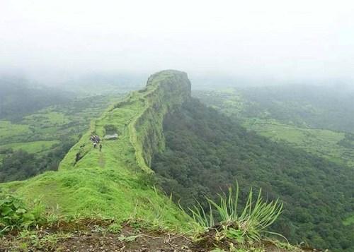 silent valley national park palakkad