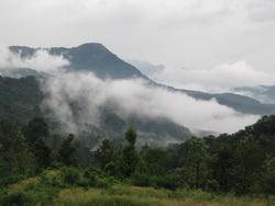  View from Ponmudi