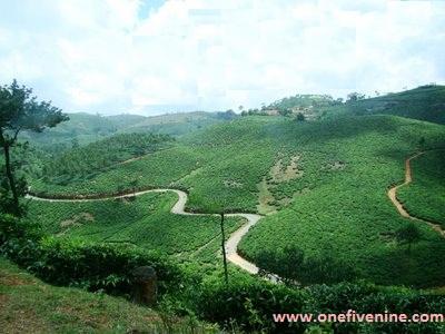 Route To Vagamon