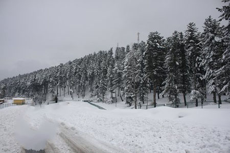 Shopian District Shopian District Map