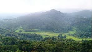 Coorg